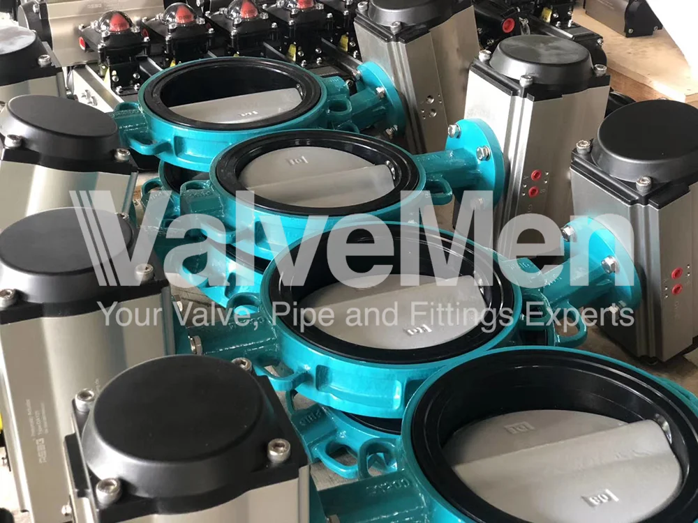 uploads/anh/butterfly-valve-actuator/butterfly-valve-keystone.png