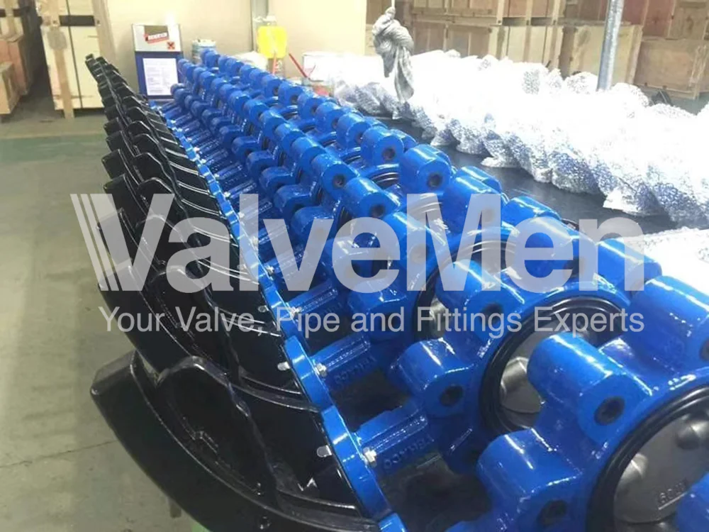 uploads/anh/butterfly-valve-exhaust/4-inch-butterfly-valve.png