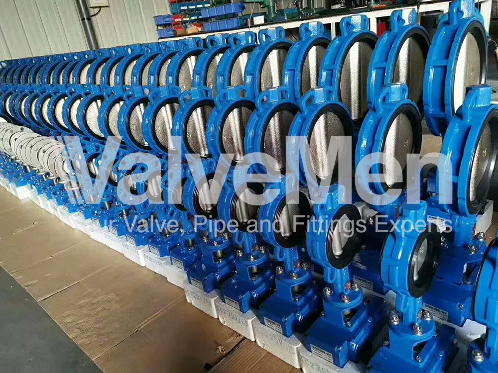 uploads/anh/butterfly-valve-exhaust/butterfly-valve-flange.png