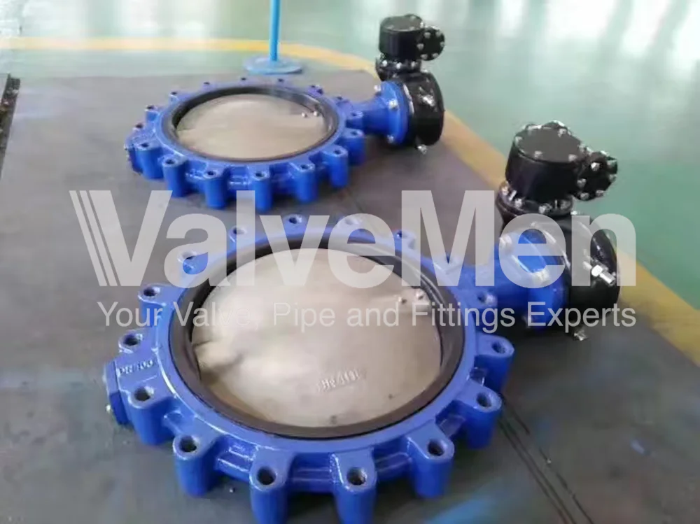 uploads/anh/butterfly-valve-exhaust/butterfly-valve-manufacturers.png