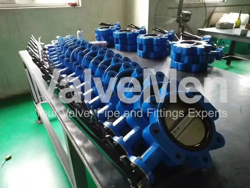 uploads/anh/butterfly-valve-exhaust/butterfly-valve-price.png