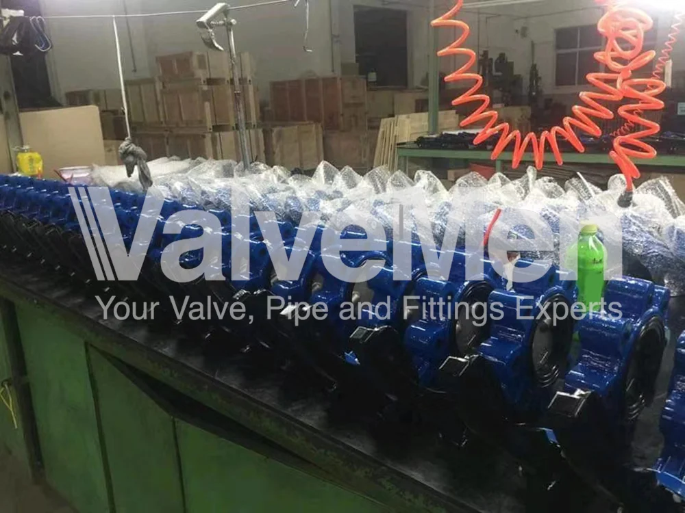 uploads/anh/butterfly-valve-exhaust/butterfly-valve-vs-gate-valve.png