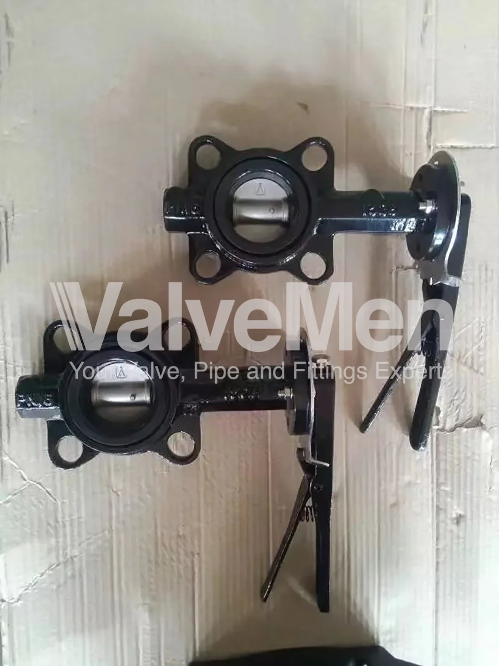 uploads/anh/butterfly-valve-lug-type/butterfly-valve-exhaust.png