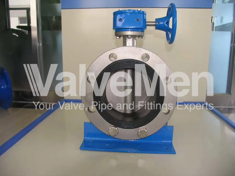 uploads/anh/butterfly-valve-lug-type/butterfly-valve-flange.png