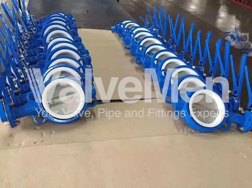 uploads/anh/butterfly-valve-lug-type/butterfly-valve-for-exhaust.png