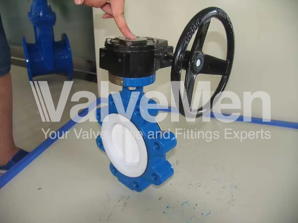 uploads/anh/butterfly-valve-lug-type/butterfly-valve-in-exhaust.png