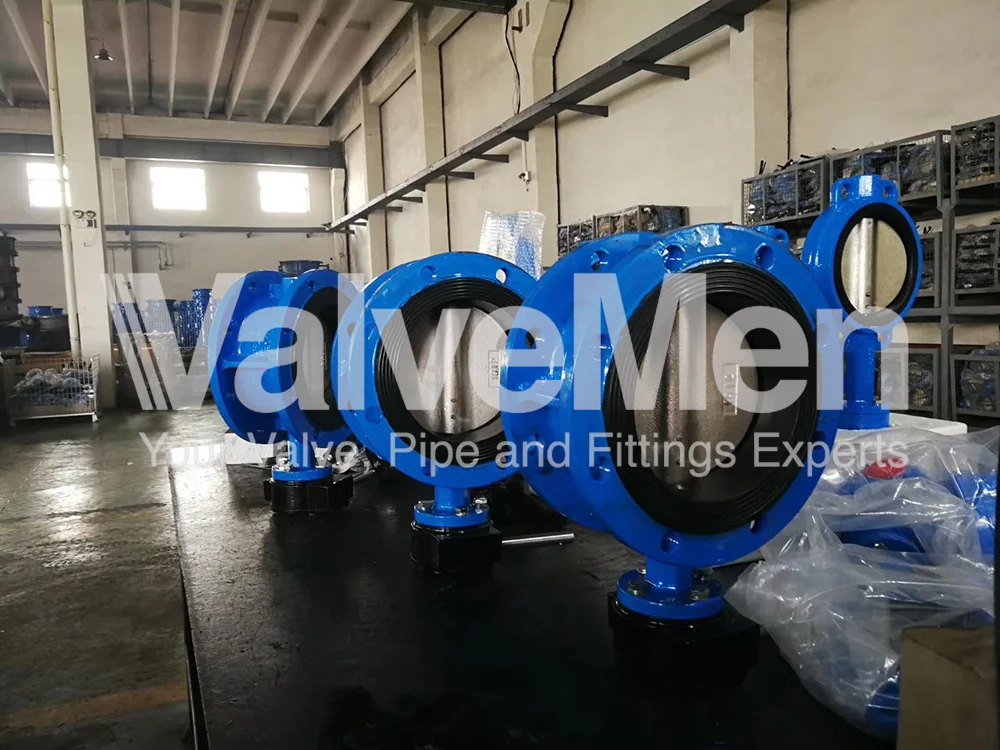 uploads/anh/butterfly-valve-lug-type/butterfly-valve-lug-type%20(1).png