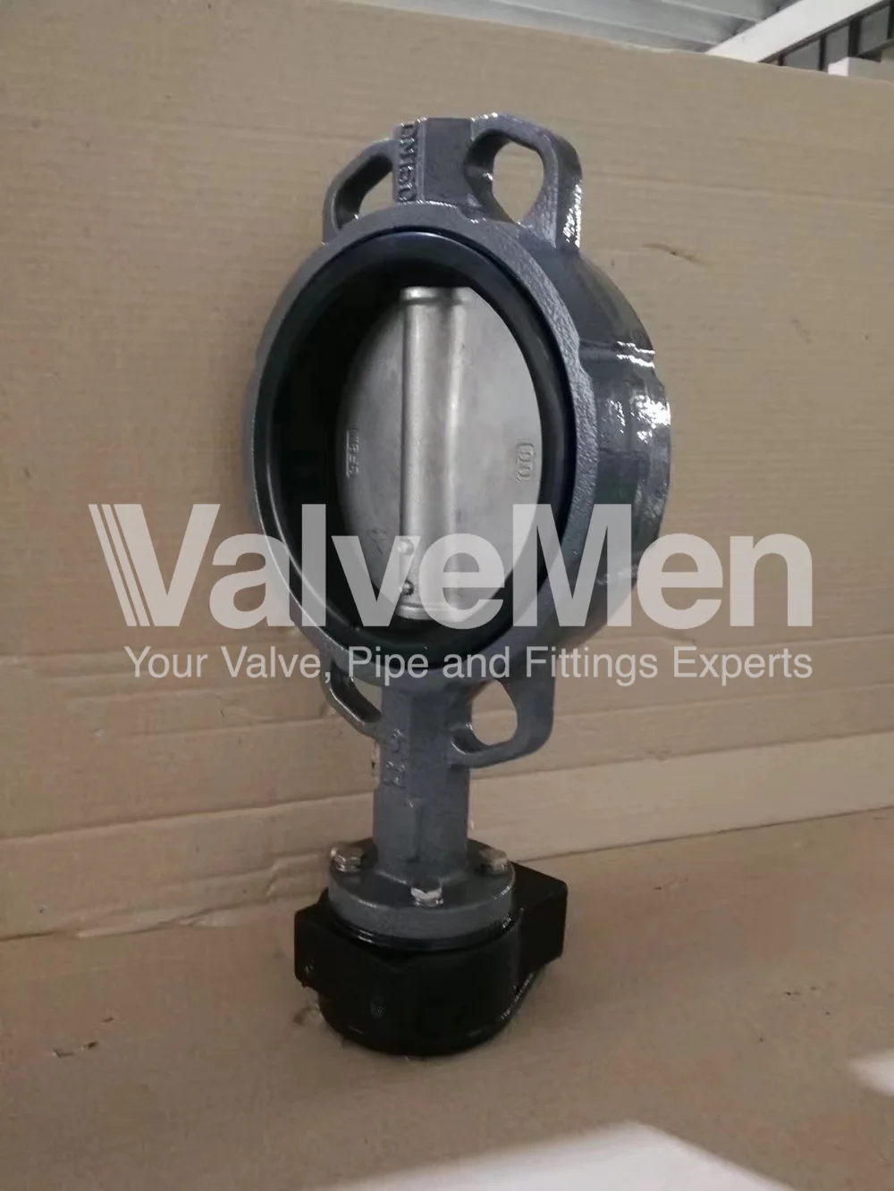 uploads/anh/butterfly-valve-lug-type/butterfly-valve-manufacturers.png