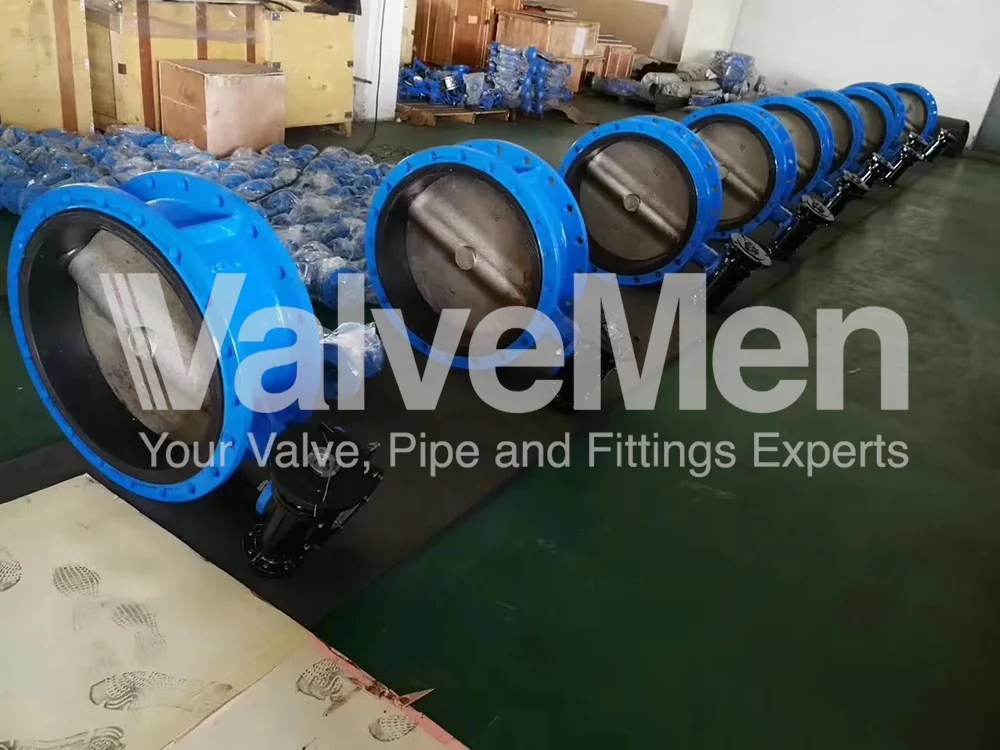 uploads/anh/butterfly-valve-lug-type/butterfly-valve-parts.png