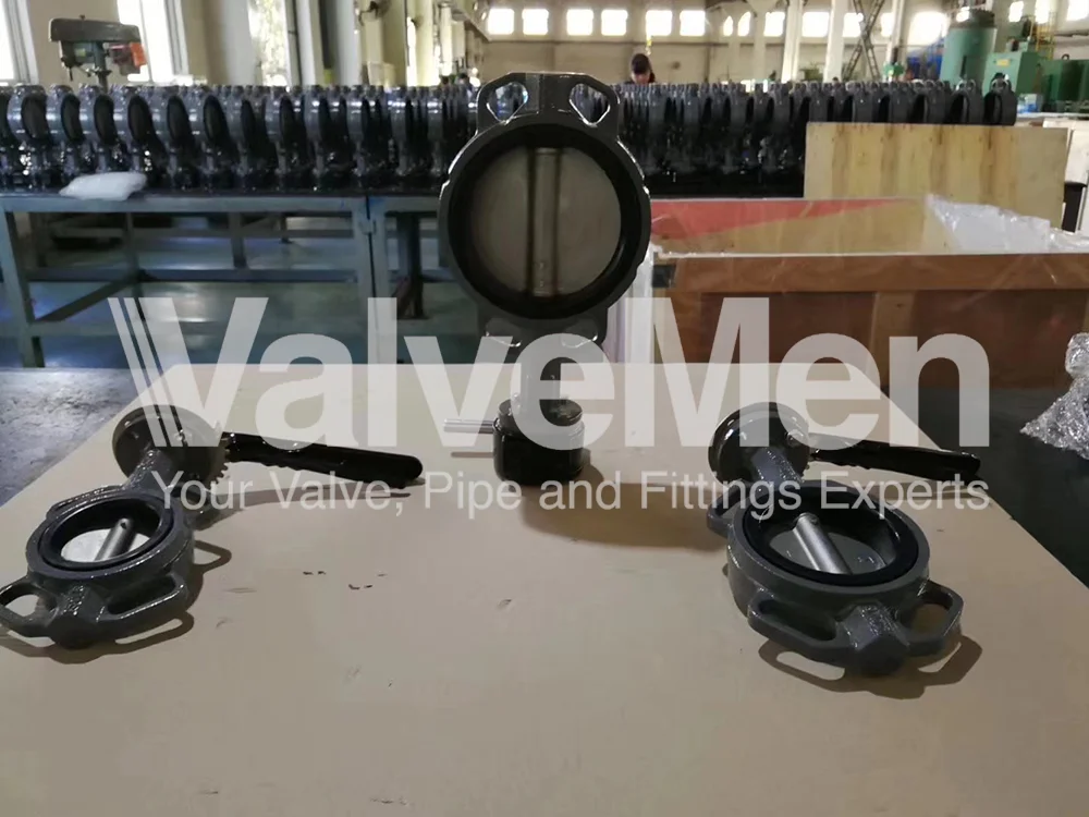 uploads/anh/butterfly-valve-lug-type/butterfly-valve-price.png