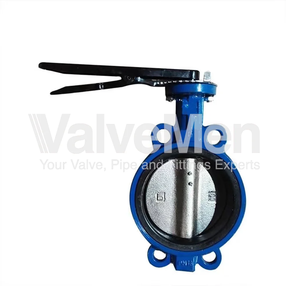 uploads/anh/butterfly-valve-lug-type/butterfly-valve-types.png