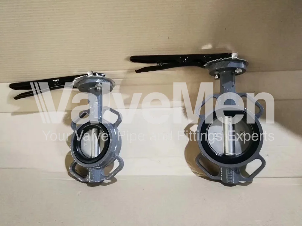 uploads/anh/butterfly-valve-lug-type/butterfly-valve-vs-gate-valve.png