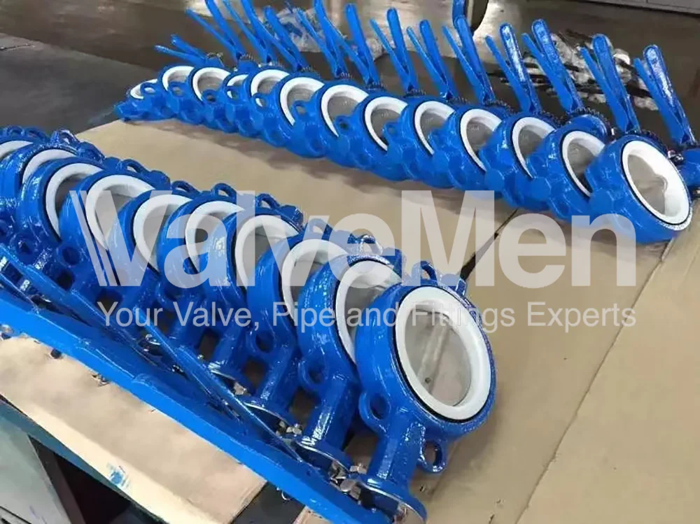 uploads/anh/butterfly-valve-lug-type/butterfly-valve-with-actuator.png