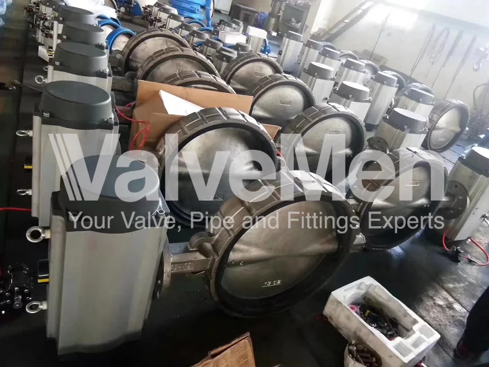 uploads/anh/butterfly-valve-lug-type/butterfly-valve.png