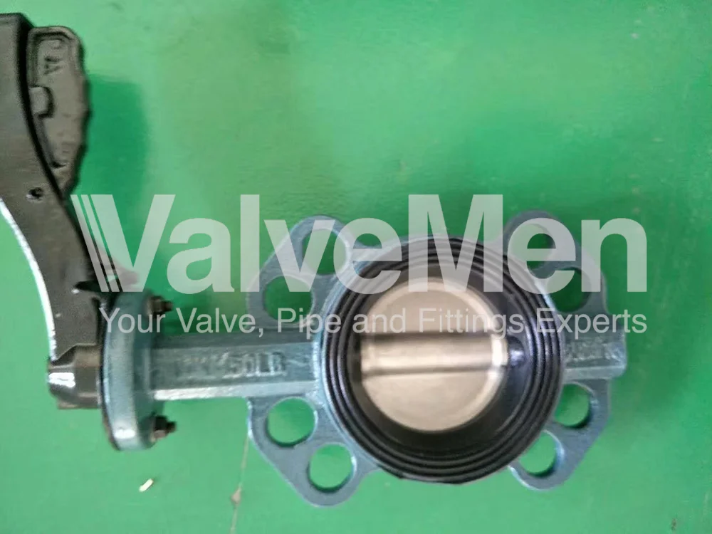 uploads/anh/butterfly-valve-lug-type/mmexport1591321865982.png