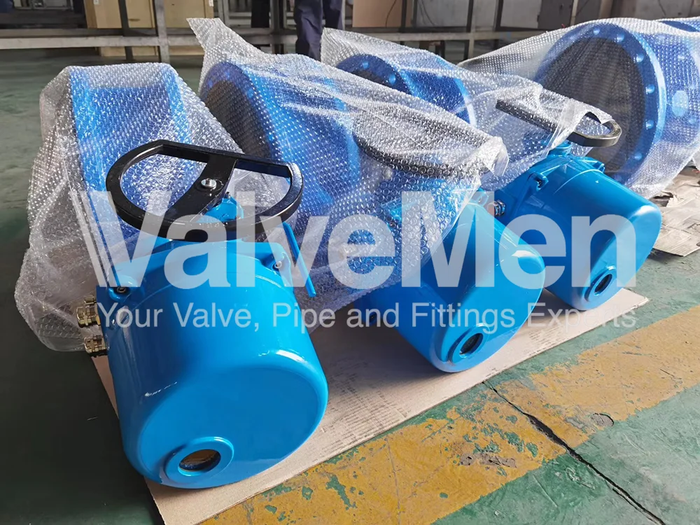 uploads/anh/butterfly-valve-symbol/butterfly-valve-assembly.png