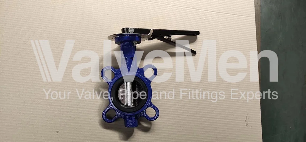 uploads/anh/butterfly-valve-symbol/butterfly-valve-images.png