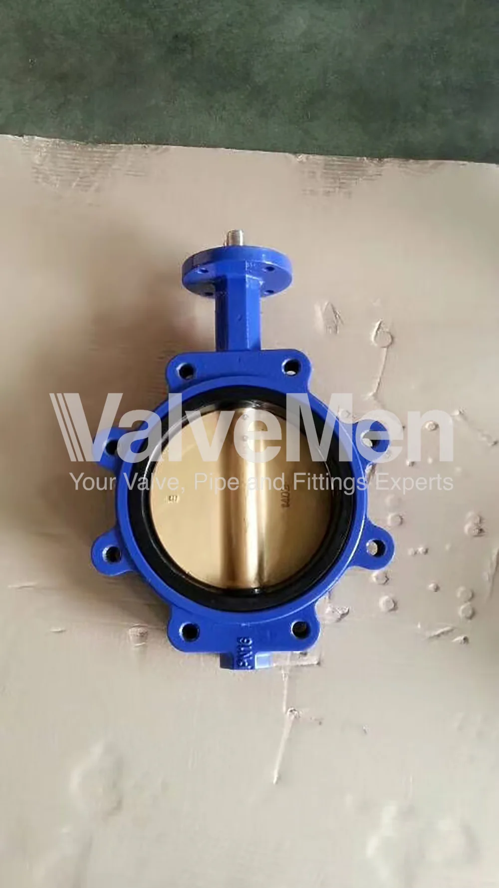 uploads/anh/butterfly-valve-with-actuator/butterfly-valve-4-inch.png