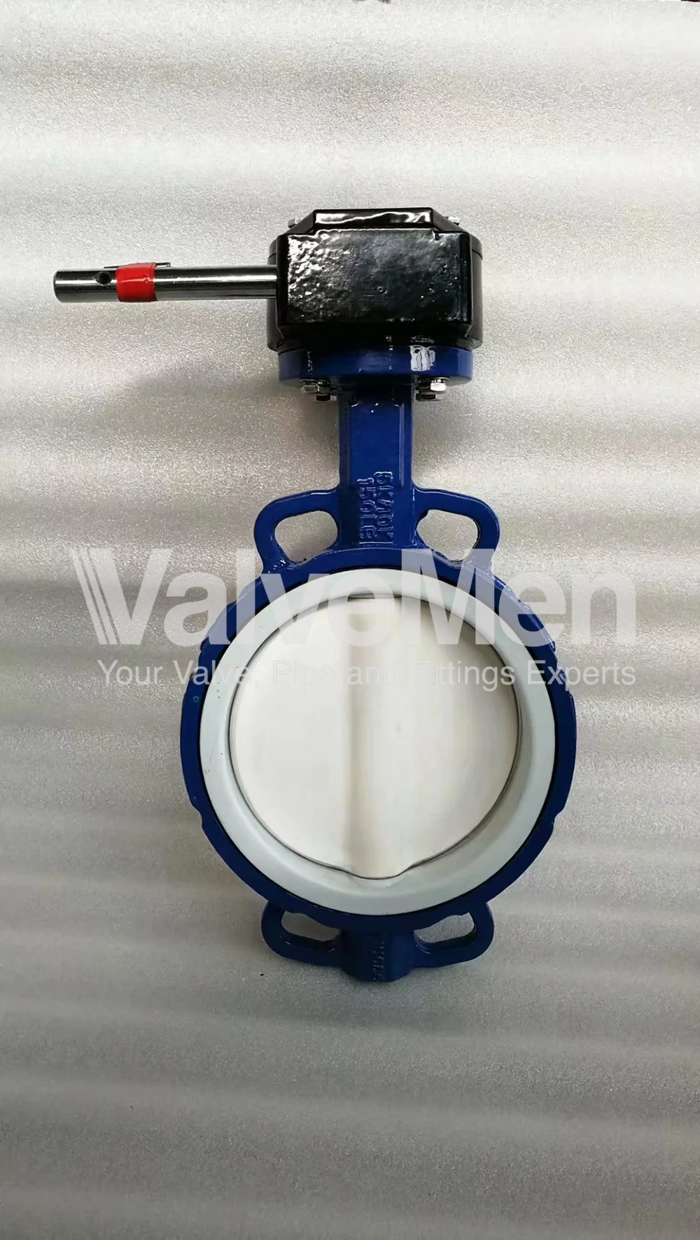 uploads/anh/butterfly-valve-with-actuator/butterfly-valve-flange.png