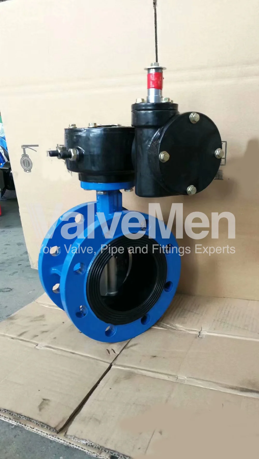 uploads/anh/butterfly-valve-with-actuator/butterfly-valve-pvc.png