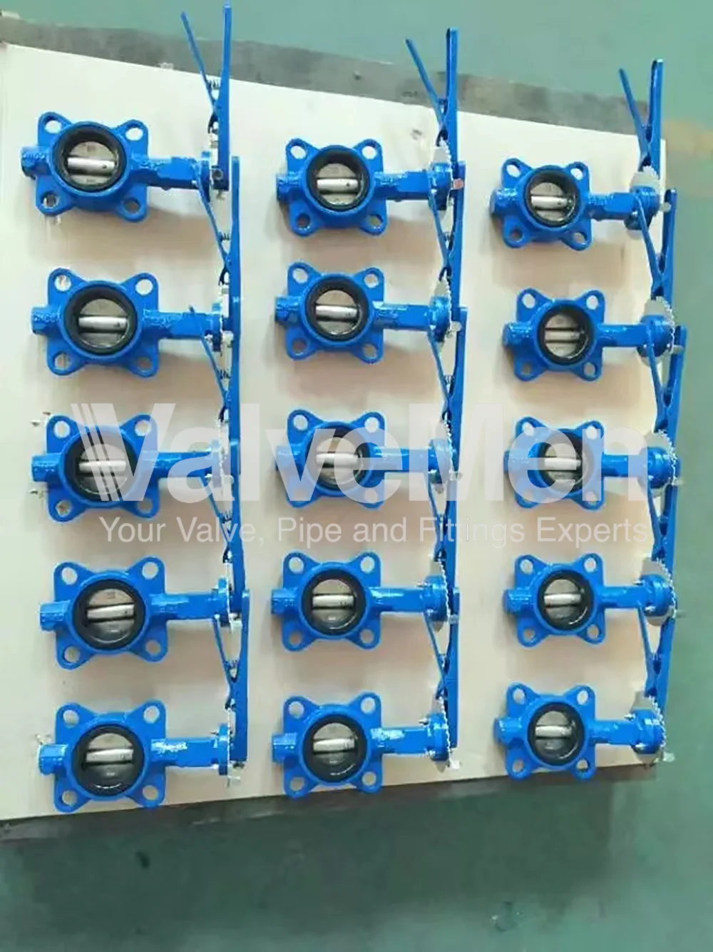 uploads/anh/butterfly-valve-with-actuator/butterfly-valve-types.png