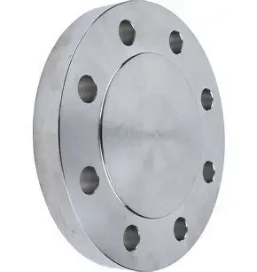 blind flange 2 inch (1)