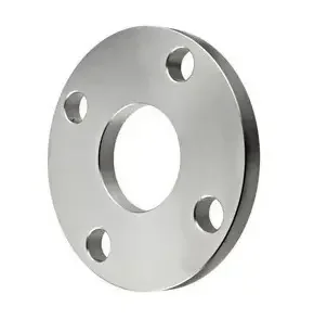 blind flange 2 inch (3)