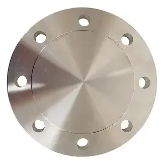 blind flange 6 inch (2)