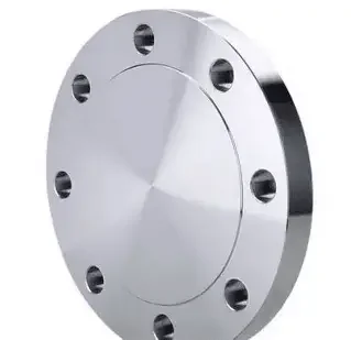 blind flange 6 inch (3)