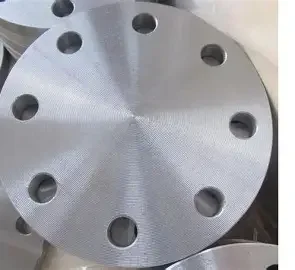 blind flange en 1092 1 (1)