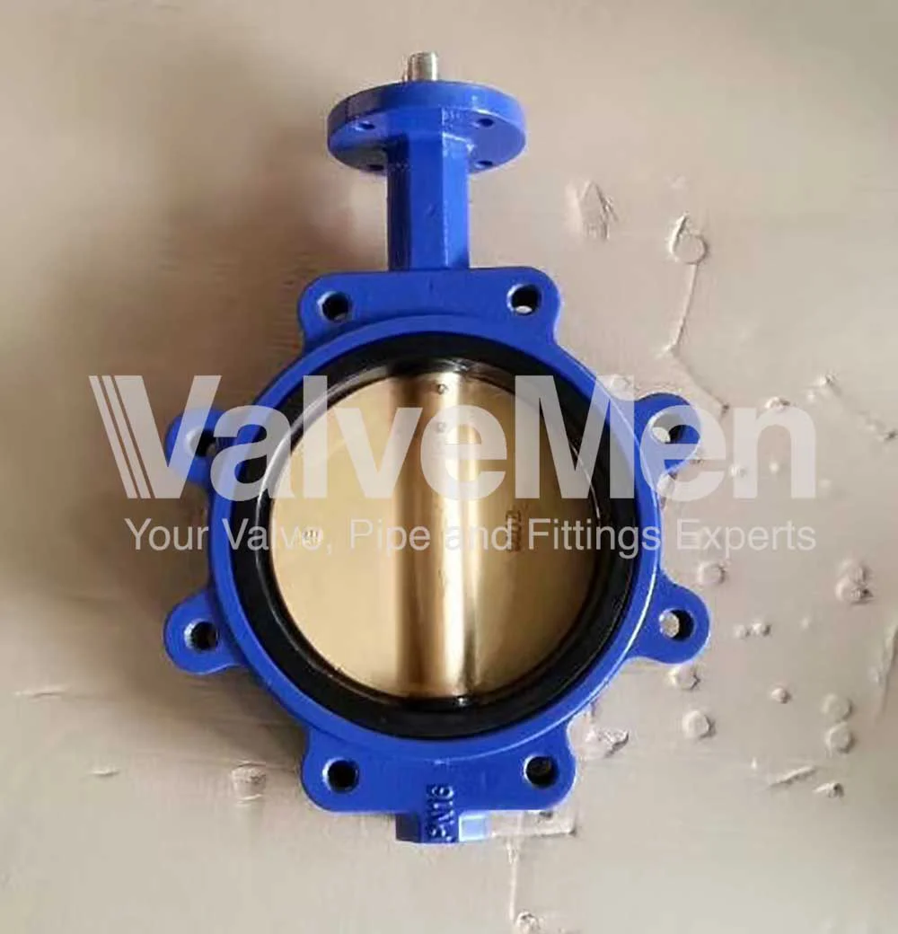 uploads/butterfly-valve-wafer-type/butterfly-valve-for-exhaust.png