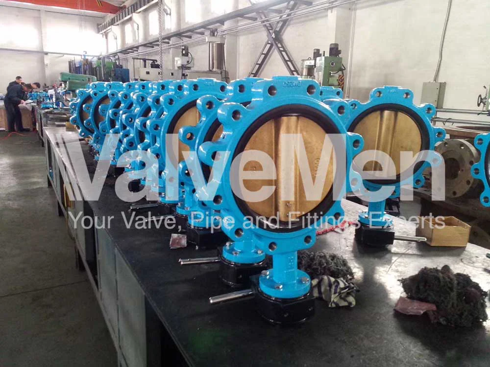 uploads/butterfly-valve-wafer-type/butterfly-valve-wafer.png