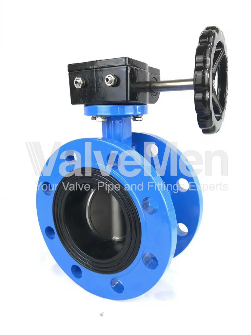 uploads/butterfly-valve-wafer-type/van-buom-dien-dn200.png