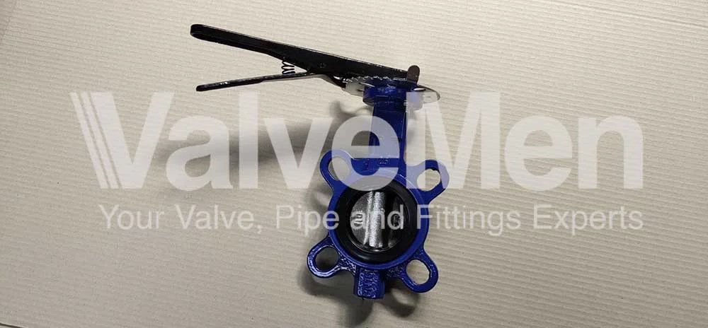 uploads/butterfly-valve-wafer-type/van-buom.png