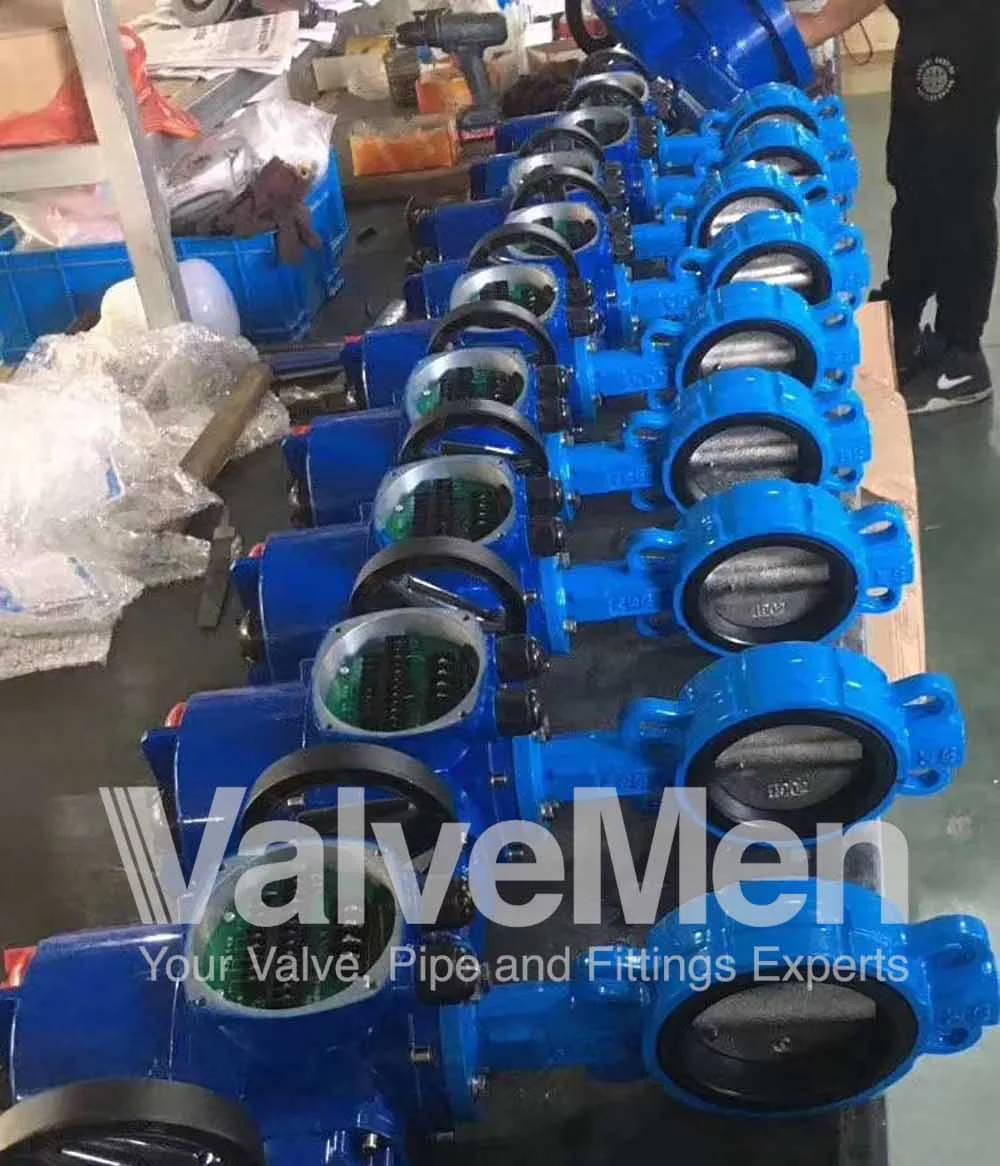 uploads/butterfly-valve/butterfly-valve-manufacturers.png