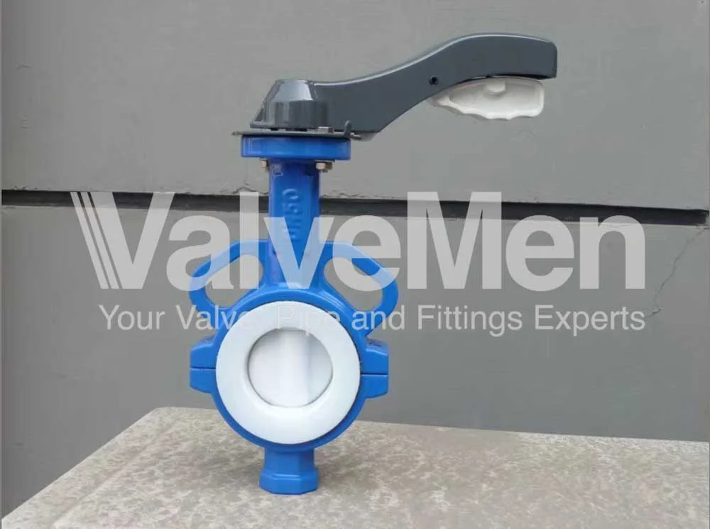 uploads/butterfly-valve/butterfly-valve-pvc.png