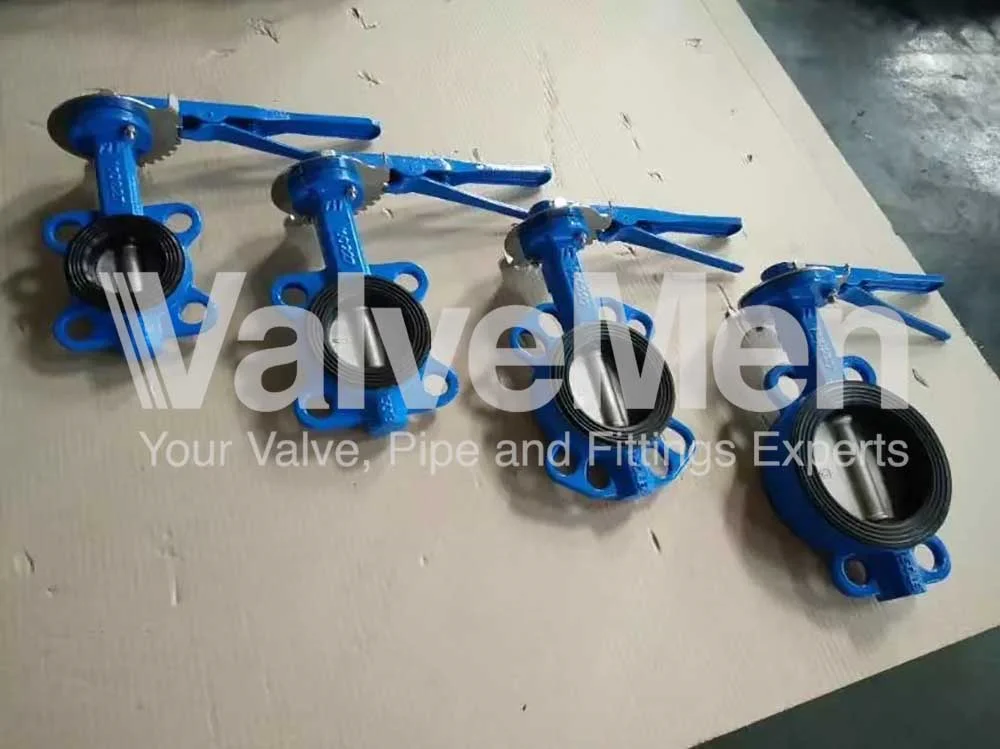 uploads/butterfly-valve/butterfly-valve-types.png