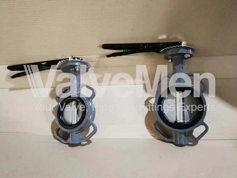 uploads/butterfly-valve/butterfly-valve-wafer.png