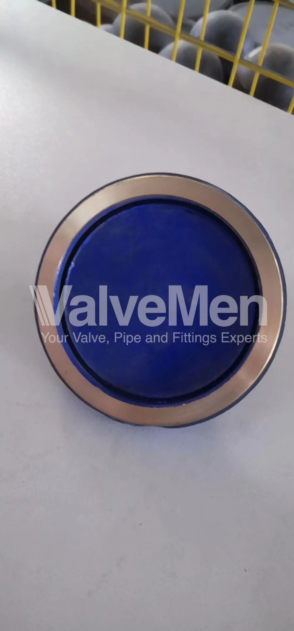 uploads/check-valve-ngay-24-thang-09-nam-2020/check-valve-brass.png