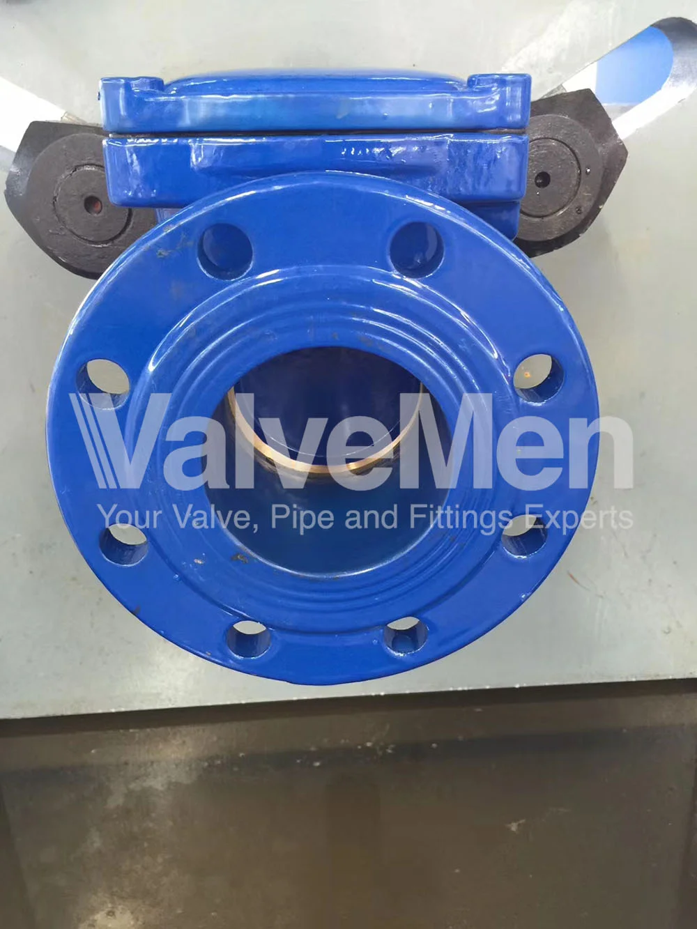 uploads/check-valve-ngay-24-thang-09-nam-2020/check-valve-diagram.png