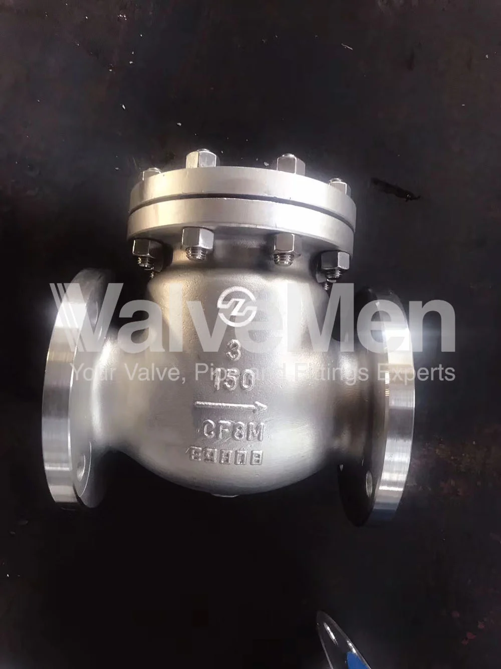 uploads/check-valve-ngay-24-thang-09-nam-2020/check-valve-for-pool.png