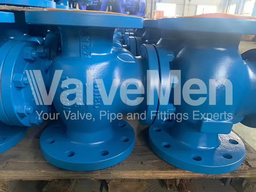 uploads/check-valve-ngay-24-thang-09-nam-2020/check-valve-pvc.png