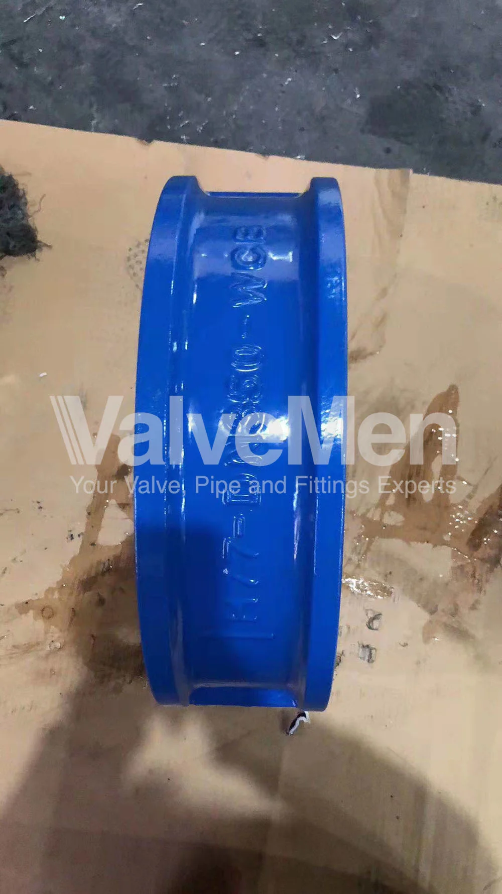 uploads/check-valve-ngay-24-thang-09-nam-2020/check-valve-water.png