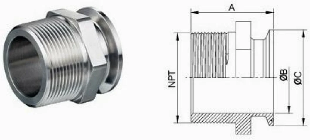 Sanitary-clamp-fitting-14-picture