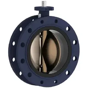 double flange butterfly valve (2)