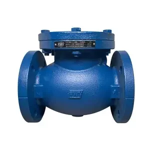 flange check valve (2)