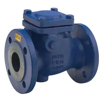flange check valve (3)