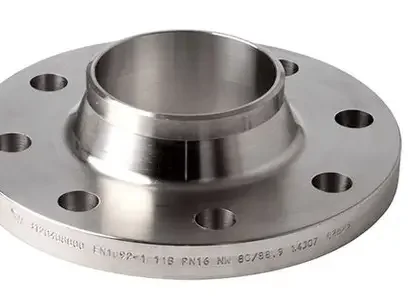 Flange DN300 (2)