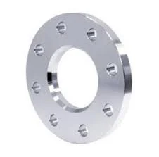 flange-ss304 (1)
