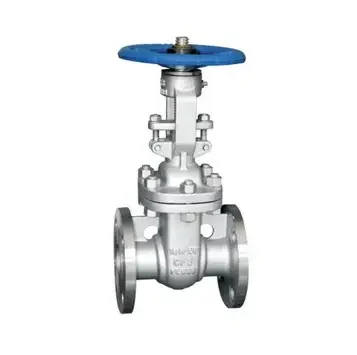 flange type gate valve (2)